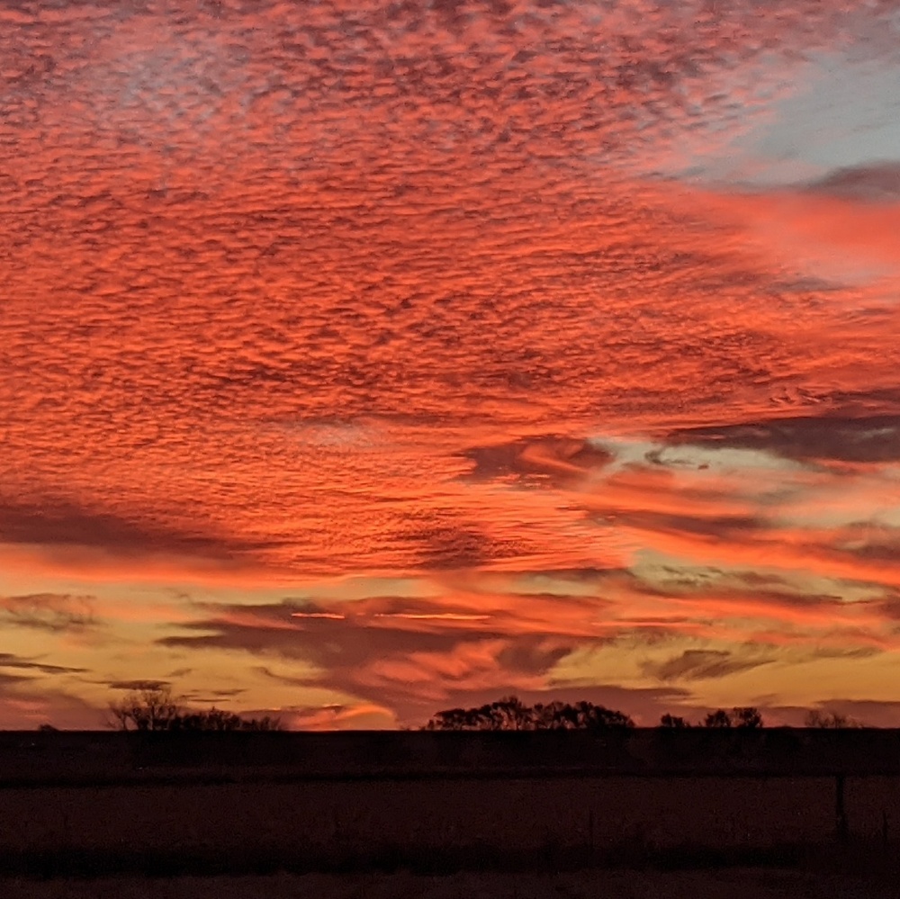 Meet your Posher, Kaylee